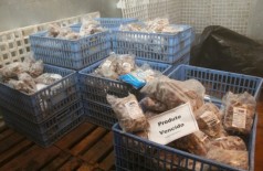 Alimentados estragados estão estocados na SUALIS (Foto: Marcos Herminio) (Reprodução)