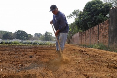 O horticultor José Malta diz que