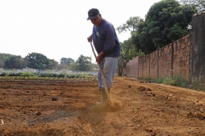 O horticultor José Malta diz que 