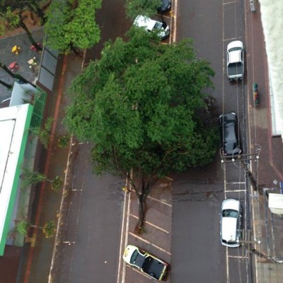 Árvore caiu na Avenida Weimar Gonçalves Torres neste sábado (94 FM)