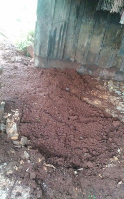 poço está desmoronando e vai parar embaixo de casa em Barreirão ((Foto: Divulgação))