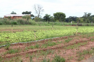 CGU apontou irregularidades em distribuição de lotes da reforma agrária (Marcos Ermínio)