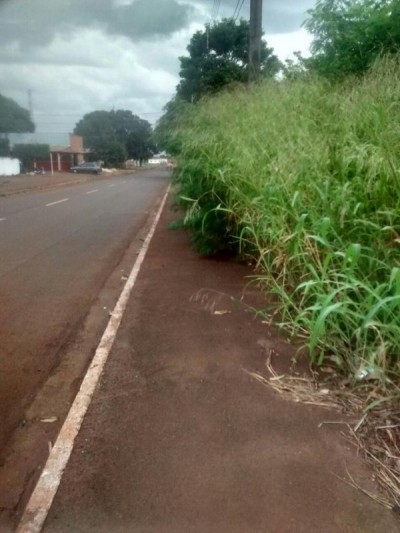 Em Dourados, matagal toma conta de rua no Parque das Nações II