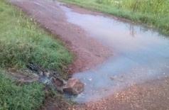 Vazamento de esgoto incomoda moradores do Jardim Água Boa