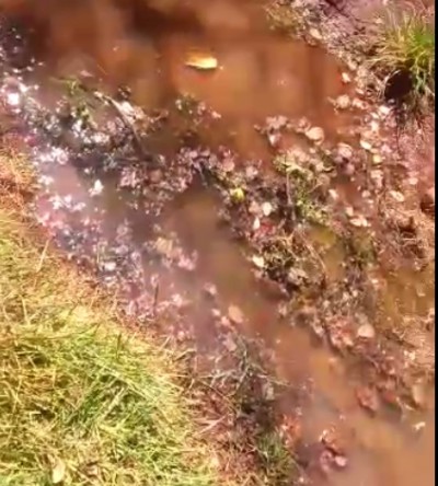 Bairro Laranja Doce, em Dourados ((Foto: Reprodução vídeo))