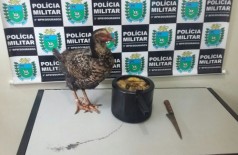 Na delegacia, a polícia apresentou uma faca, uma panela de pressão com o frango morto dentro e o outro frango... (Sidnei Bronka/94 FM)