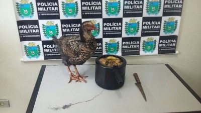 Na delegacia, a polícia apresentou uma faca, uma panela de pressão com o frango morto dentro e o outro frango... (Sidnei Bronka/94 FM)