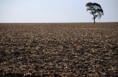 Fazenda ocupada por índios em 2008 já deveria ter passado por reintegração de posse, mas ordem judicial não é... (Lunae Parracho / Reuters/Reuters)