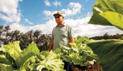 Mário Shibukawa tinha 66 anos e foi vereador em Uraí por três mandatos (Sistema Faep)