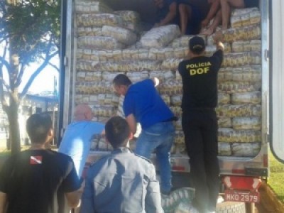 DOF apreende 87 mil pacotes de cigarro avaliados em R$ 4 milhões