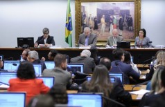 Projeto foi aprovado por 16 votos a 13 em comissão especial na Câmara (Lúcio Bernardo Jr./Ag.Câmara)