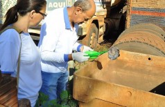 Nesta semana a prefeitura de Dourados está intensificando as ações no combate ao mosquito Aedes aegypti transm... (A Frota)