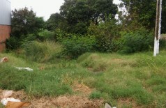 Moradores reclamam de matagal, lixo e mosquitos em terreno abandonado