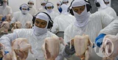 China volta a comprar carne de frango de unidade de Dourados
