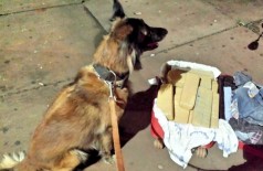 Cão farejador ajuda a localizar mala com 20 kg de maconha em ônibus em Dourados (Foto: Divulgação/Polícia Militar) ()