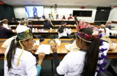 Lideranças e representantes da etnia Guarani Kaiowá participaram de audiência pública na Comissão de Direitos... ()